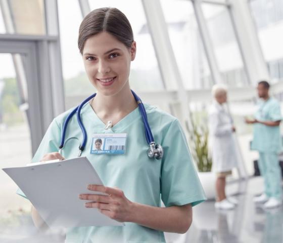 Organización de los Servicios de Enfermería en el Primer Nivel de Atención. Foto: Pixabay